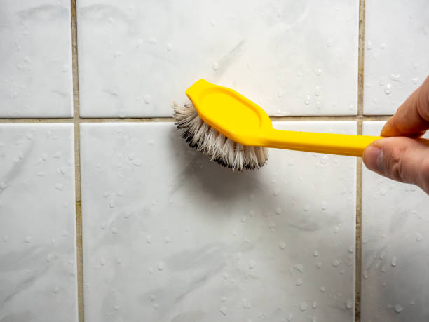 Best Local Mold Removal Service  in Kerhonkson, NY