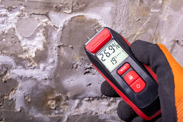 Best Mold Testing  in Kerhonkson, NY