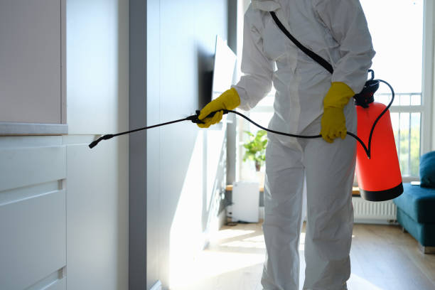 Best Residential Mold Removal  in Kerhonkson, NY