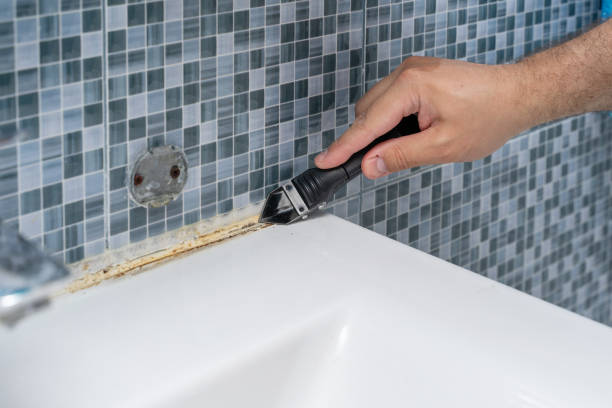 Best Home Mold Removal  in Kerhonkson, NY
